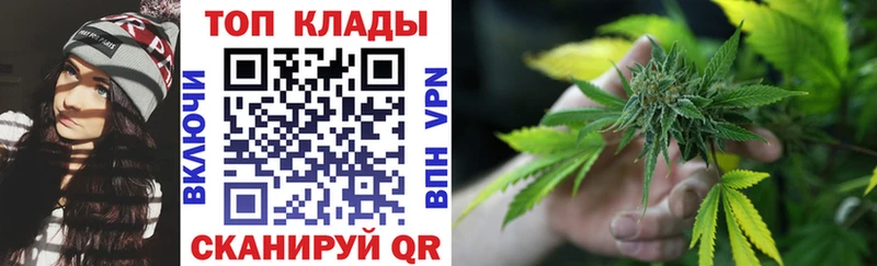 Где купить Дмитриев Псилоцибиновые грибы  СОЛЬ  Амфетамин  Каннабис  МЕФ  ГАШ 