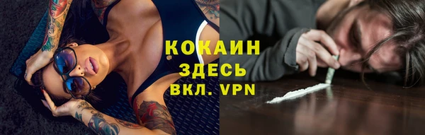 соль ск Алзамай
