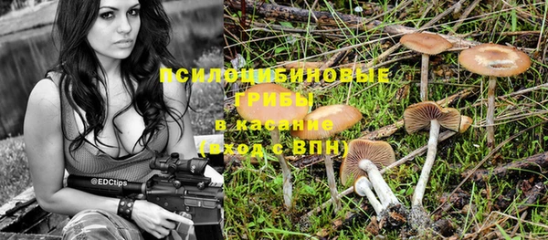 соль ск Алзамай
